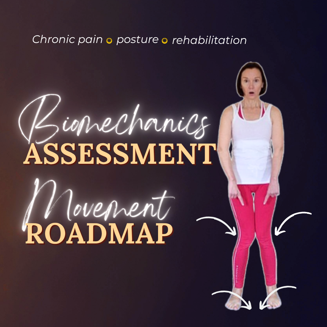 Biomechanics assessment-movement-roadmap