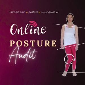 Online Posture Audit